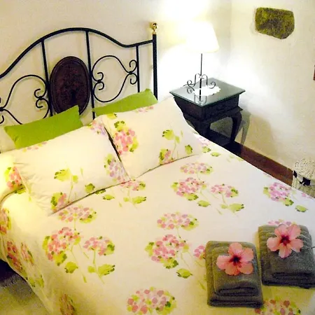 Comfortable House In With Shared Pool 펜션