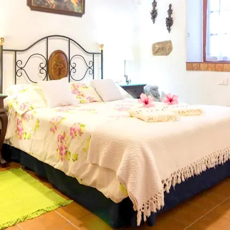 Laguna Oasis: Comfortable Shared Pool Retreat La Laguna (Tenerife)