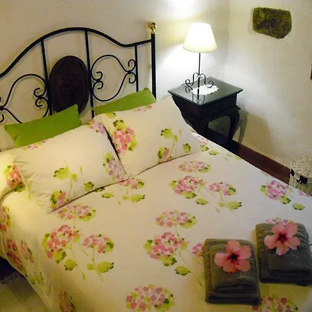 Casa vacanze Cozy House With Pool In San Cristobal De La Laguna, 70 M² La Laguna (Tenerife)