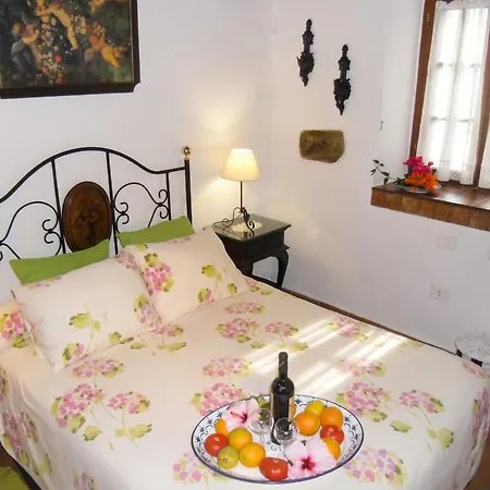 Cozy House With Pool In San Cristobal De La Laguna, 70 M² Vakantiehuis La Laguna (Tenerife)