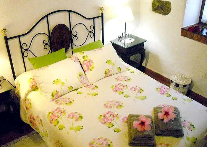 Cozy House With Pool In San Cristobal De La Laguna, 70 M² Semesterbostad
