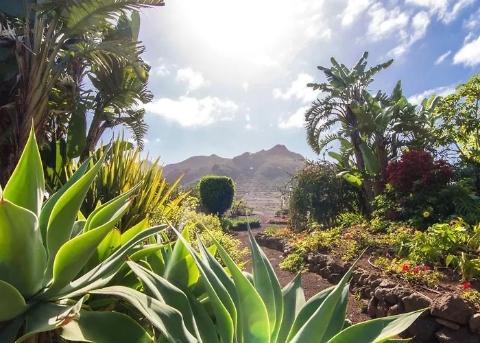 Semesterbostad Cozy House With Pool In San Cristobal De La Laguna, 70 M²
